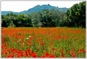 Les Colines de Lambesc